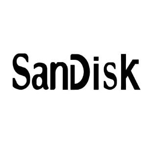 sandisk