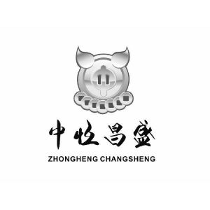 中恒昌盛(北京)证券投资基金管理有限公司_【