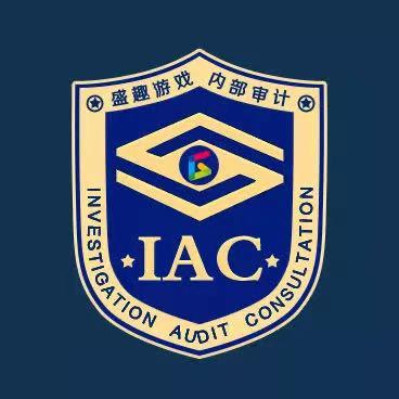 盛趣遊戲 內部審計 investigation audit consultation iac