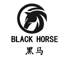 黑马black horse
