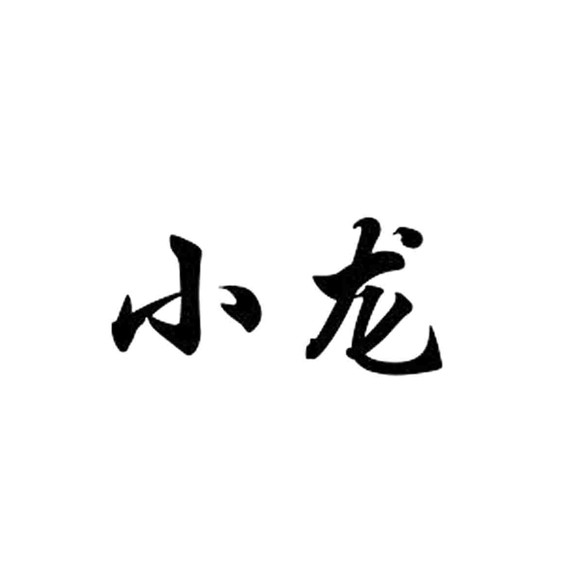 小龙字体头像图片