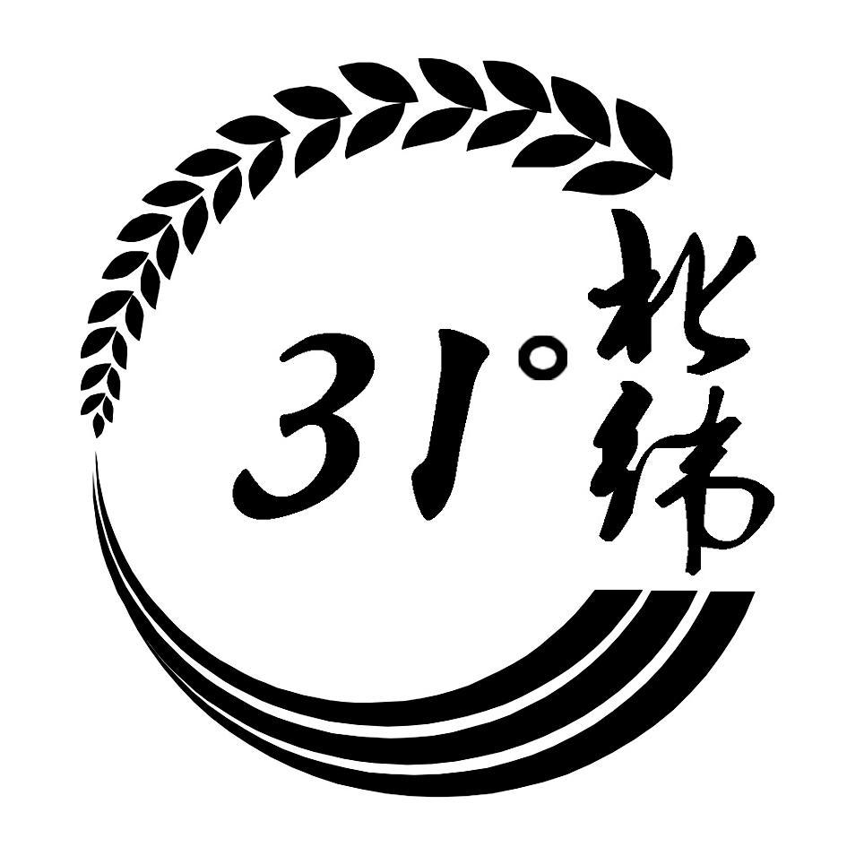北纬31°