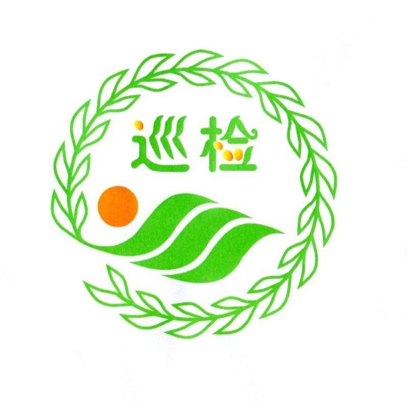 巡检