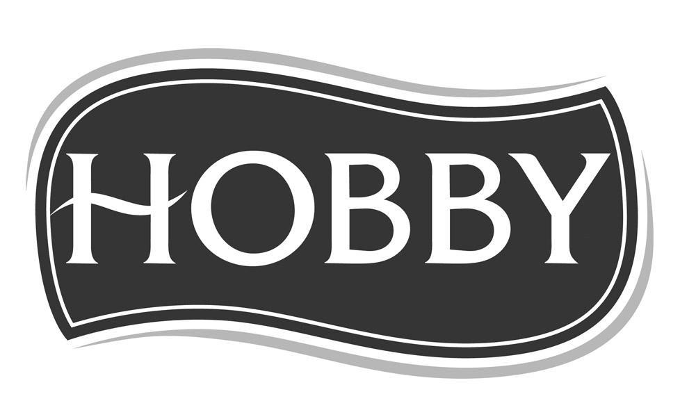 hobby复数图片