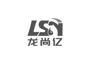 龙尚亿;lsy