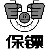 保镖bodyguard b