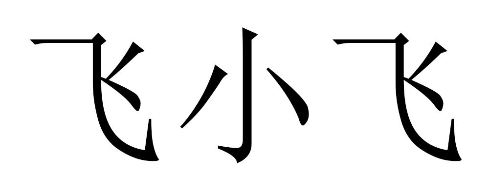 飞小飞