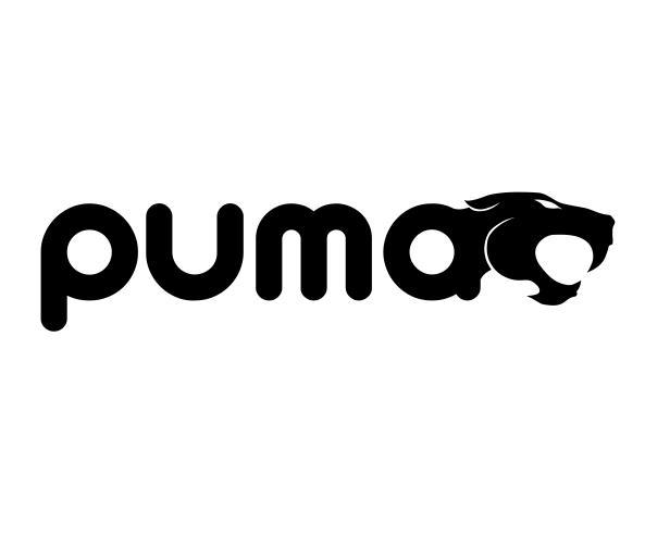 puma_注册商标查询信息 - 商标分类信息 - 天眼查