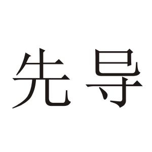 先导