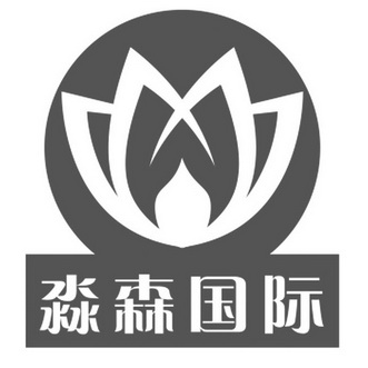 北京淼森国际美容科技有限公司