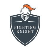 fighting knight