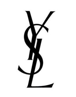 ysl_注册号29690657_商标注册查询 - 天眼查