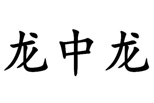 龙中龙