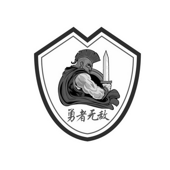 无敌队logo设计图片