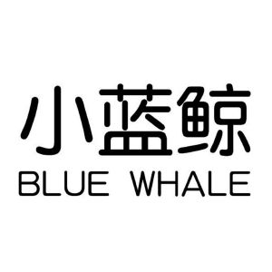 小蓝鲸 blue whale