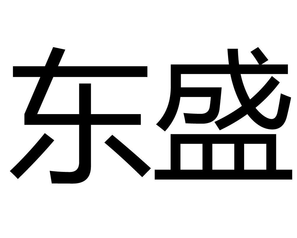 东盛装饰logo图片