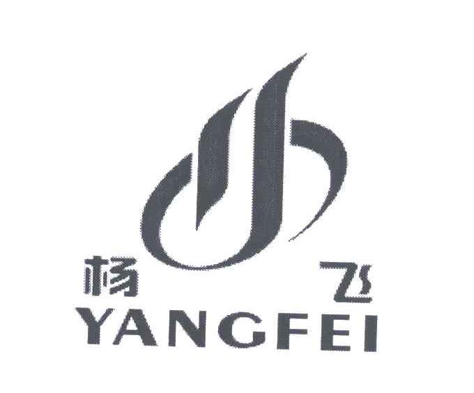 杨飞