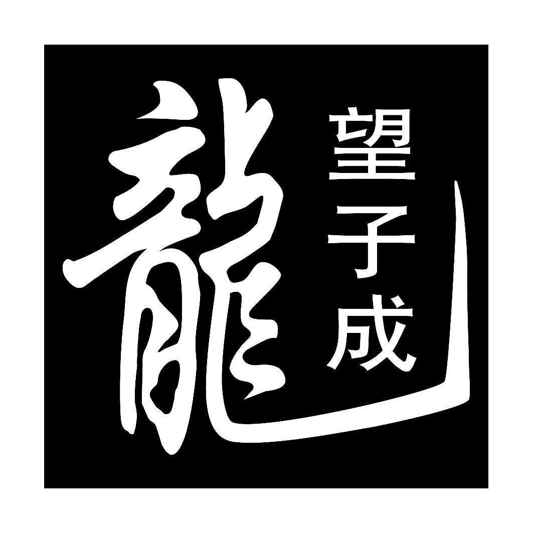 望子成龙