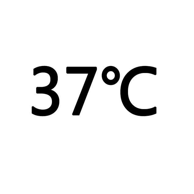 37℃