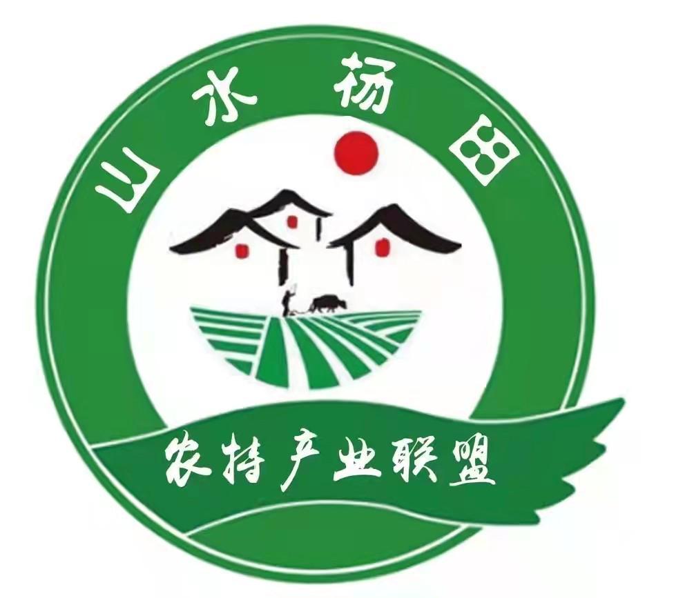 山水杨田 农特产业联盟_注册号61210402_商标注册查询 - 天眼查