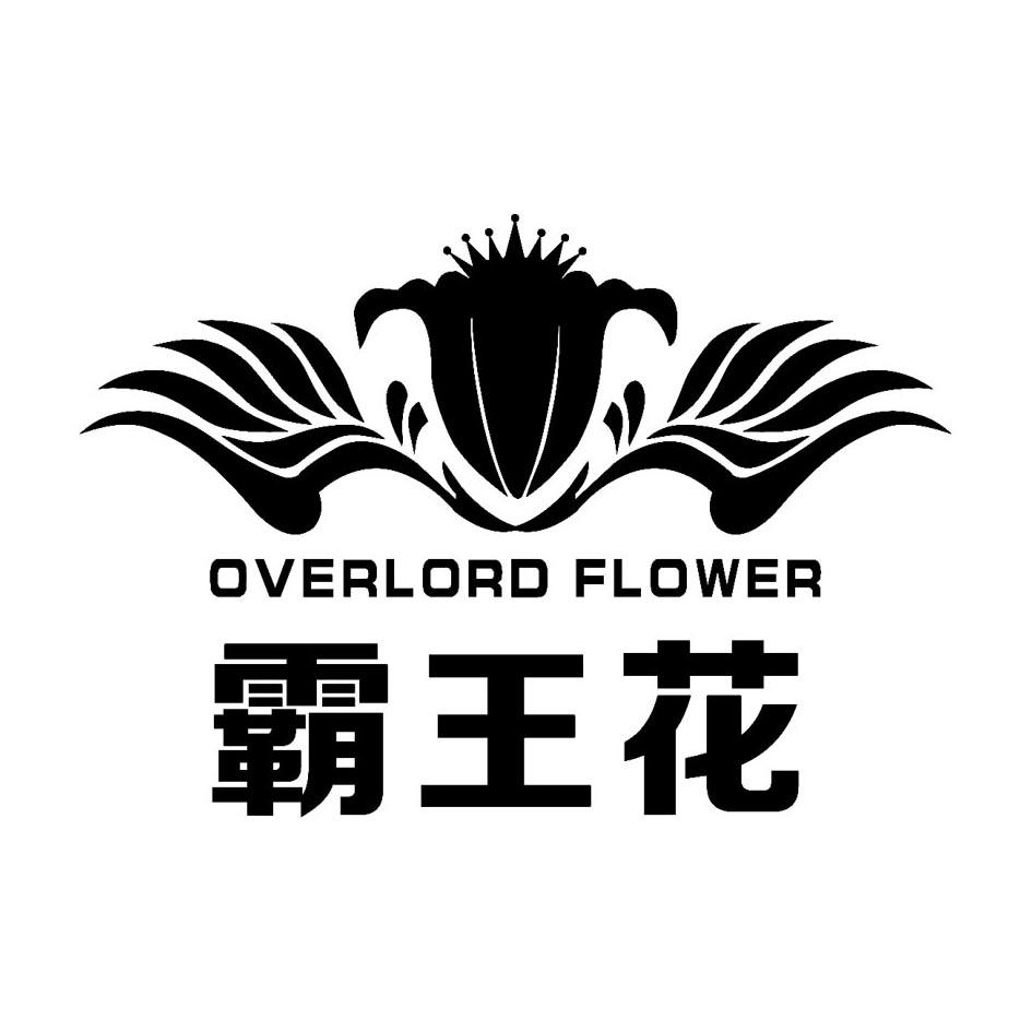 overflowers图片