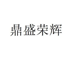 四川鼎盛荣辉实业有限公司