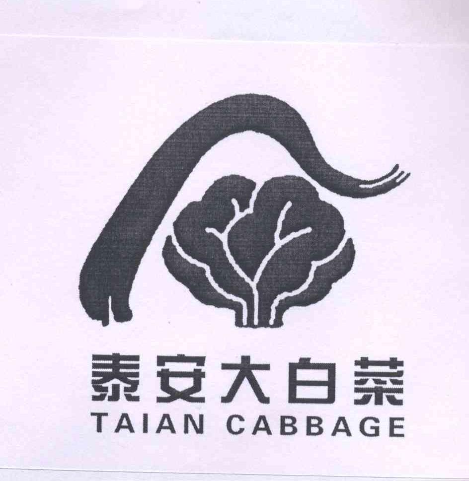 泰安大白菜 taian cabbage_注册号13066670_商标注册查询 天眼查