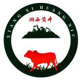 湘西黄牛