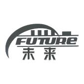 未来future