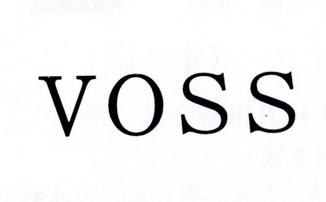 voss_注册号30224508_商标注册查询 - 天眼查