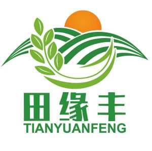 田元丰
