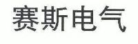 深圳市赛斯电气技术有限公司