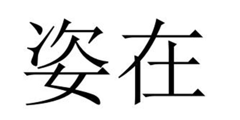 民权县建河食品销售有限公司商标姿在（29类）商标转让流程及费用