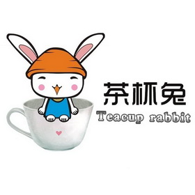 茶杯兔 teacup rabbit