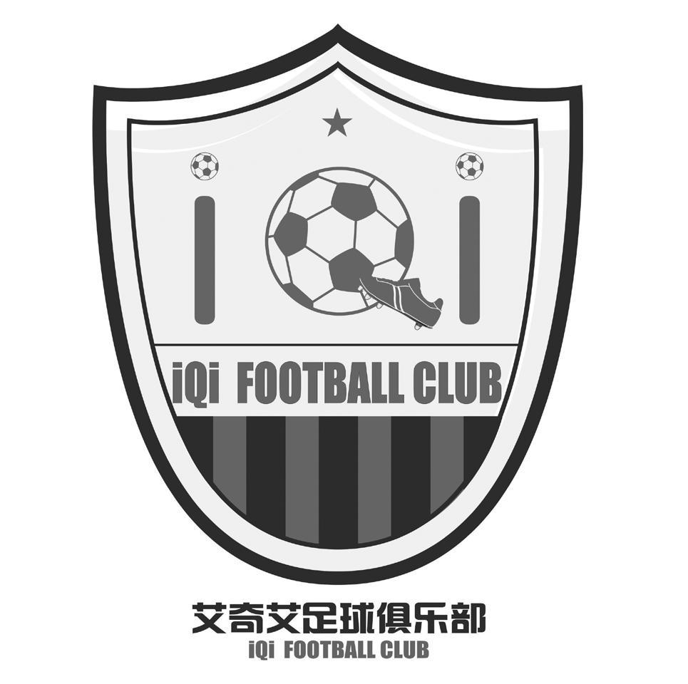 天津市东丽区艾奇足球俱乐部