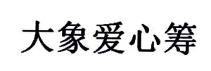大象爱心筹
