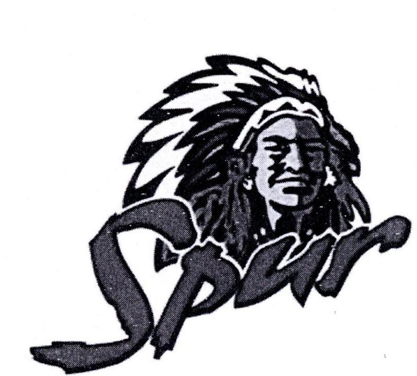 spur_注册号45136411_商标注册查询 - 天眼查