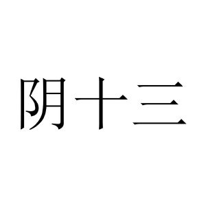阴十三