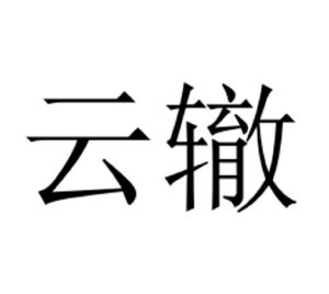 云喆_注册号46292527_商标注册查询 天眼查