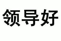领导好