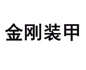 德国必优集团有限公司