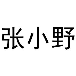 张小野