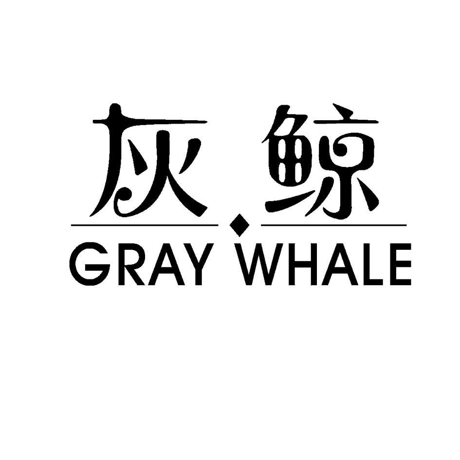 灰鲸gray whale