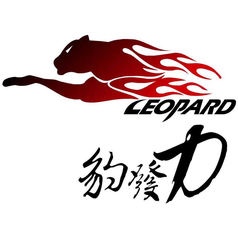 豹子霸气logo图片