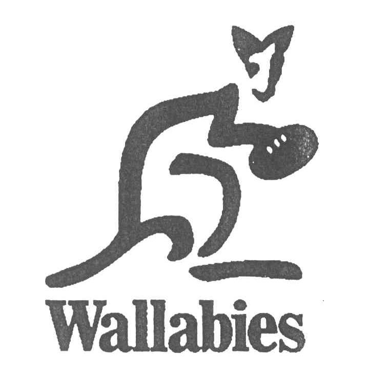 wallabies
