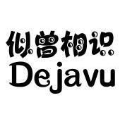 似曾相識 dejavu