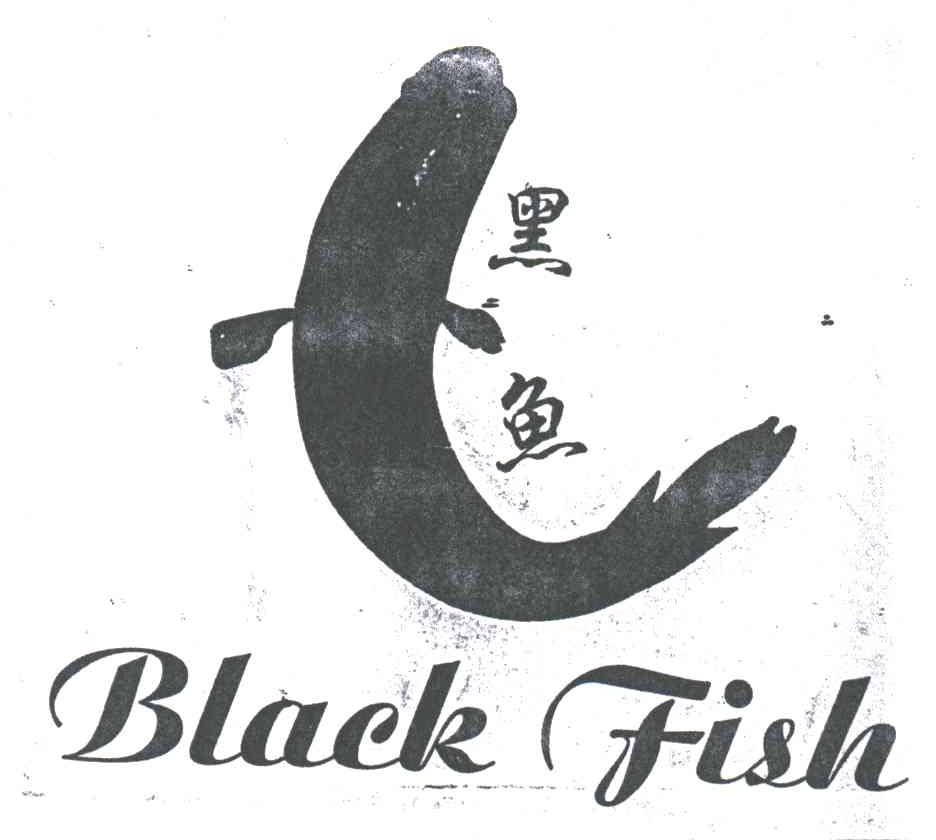 黑鱼;black fish