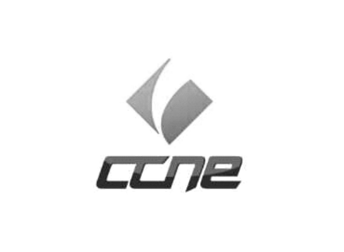 ccne_注册号18316802_商标注册查询 天眼查