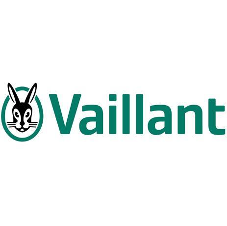 vaillant_注册号50903510_商标注册查询 - 天眼查