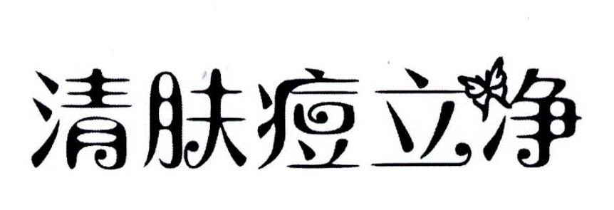 清肤痘立净